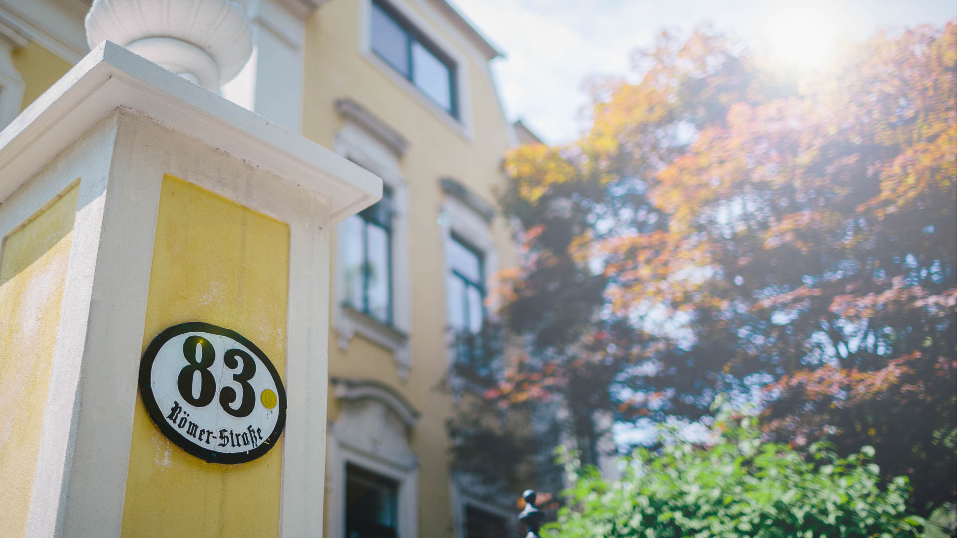 Therapie - Gesundheit - Fitness